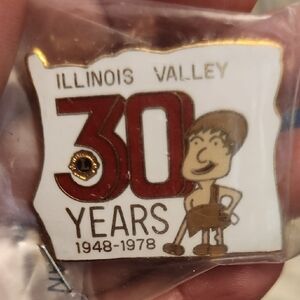 Vintage Lions Club Illinois Valley 30 Years 1948-1978 Commemorative Souvenir Pin